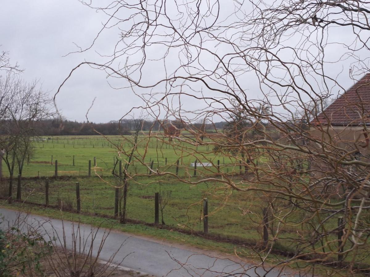 Gnaden- Und Ferienhof Saale Wittgenstein In The Middle Of Gar Nix Bismark المظهر الخارجي الصورة